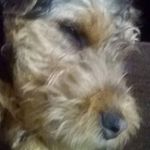 Fred Rutherford - @fred.rutherford.589 - Instagram
