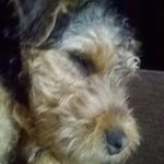 Freddie Rutherford - @freddie.rutherford - Instagram