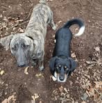 Fred Rutledge - Facebook