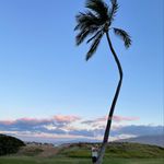 fred ryan - @fred_ryan - Instagram