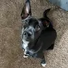 Rye Fred - @ryefred - TikTok