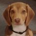 Fred Ryerson - Facebook