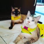 Fred & Sabrina - @fred_sabrina1 - Instagram