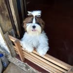 Fred Saboia Lima - @fred_sabido - Instagram