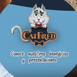 Cat Fred el Miauyordomo de la sabana - @catfredsabana - Instagram