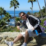 Fred Sabatine - @fredsabatine - Instagram