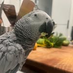 @fred.said.what - Instagram