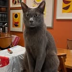 Fred - @fred_said_so_what - Instagram