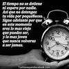 Fred Salgado - @fred.salgado45 - TikTok