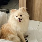 Frederico Salomão - @fred.salomao - Instagram