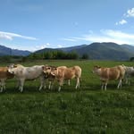 Frederic Salomon - @fredsal6.5 - Instagram