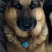 Fred Sams - Facebook