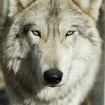 Fred Sawyer - @f.sawyer - Instagram