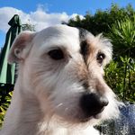 Fred Sawyer - @ian.sawyer.54584 - Instagram