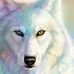 Fred Sawyer - Facebook