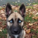 Freddy Scherrer - Facebook