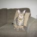 Fred Schutz - Facebook
