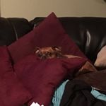 Fred Seymour - @freddism469 - Instagram