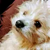 Fredrick Seymour - @fredrick.seymour - TikTok