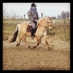 Fred Shell - @knotyllite - Instagram