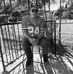 Fred Shell - Facebook