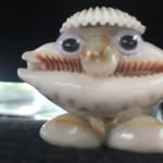 Shell Fred - @shellfrediscool - Instagram