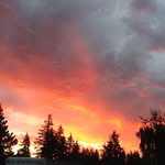 Fred Short - @fred.short.777 - Instagram