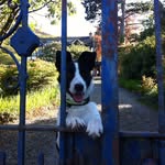 fredshortland - @fredshortland - Instagram