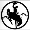 Fred Johnson silver cowboy - @fredjohnson6696 - TikTok