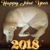 Fred Silver - Facebook