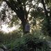 Freda Sisk - Facebook