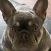 Alfred Slaughter - Facebook