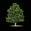 fredsmithcompany - @fredsmithcompany - TikTok