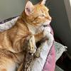 Freddie Squires - @freddie.squires - TikTok