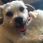 Fred Stacey - @fred.stacey - Instagram