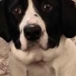 Fred Stanton - @stantonfred - Instagram