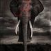 Fred Starling - Facebook