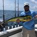 Fred Staub - Facebook