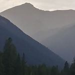 Fred Steadman - @fredsteadman - Instagram