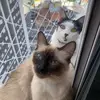 Fred e Stefani ❤️ - @fredtefini - TikTok
