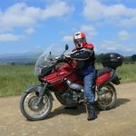 Fred Stefanini - @fredstefanini - Instagram