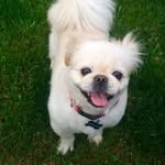 Fred Jones Scot Sterling Friar - @officialfreddyfriar - Instagram