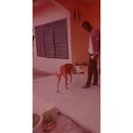 Fredkingsterling - @fred_king_sterling - Instagram