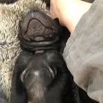 Frederick Stetson Thomas - @freddie_cheeks7 - Instagram