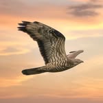 Fred Stevenson - @fred_s_photography - Instagram