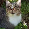 Freddie - @fredstickle - TikTok
