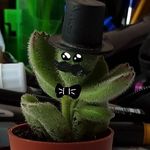 Sir Manfred von Gullistiefel - @sir.manfred.von.gullistiefel - Instagram
