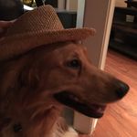 Fred Stille - @fred_stille - Instagram