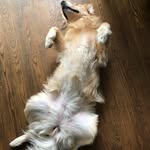 Fred Stocker - @stocker.fred - Instagram