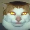 Fred stone - @fred.stone3 - TikTok